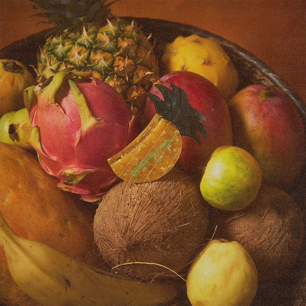 Tropicoqueta Hair Clip